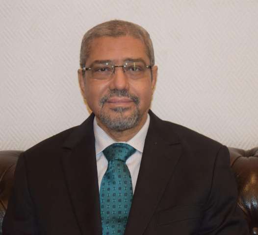 المهندس إبراهيم العربي رئيس غرفة القاهرة
