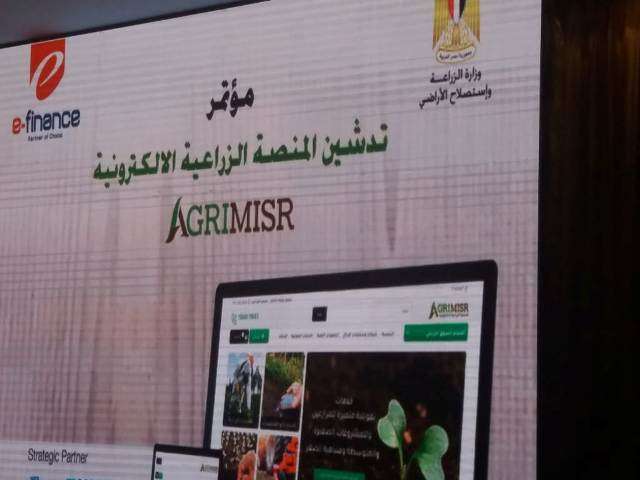 بلدنا نيوز الاقتصادي