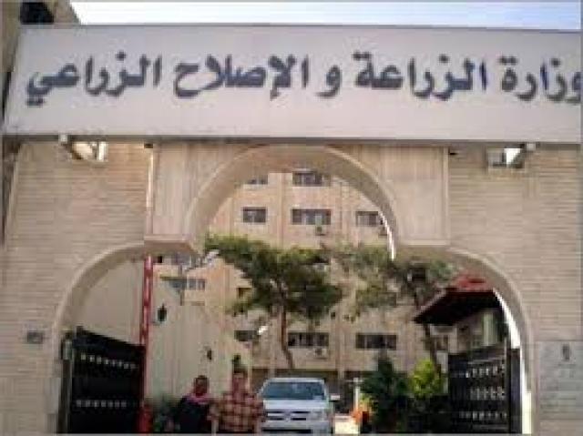 بلدنا نيوز الاقتصادي