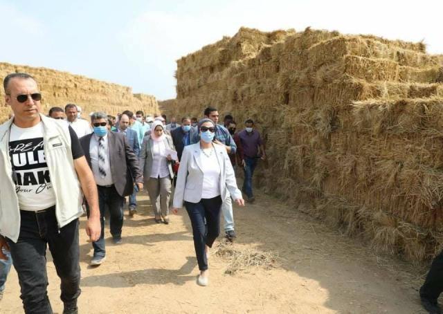 بلدنا نيوز الاقتصادي
