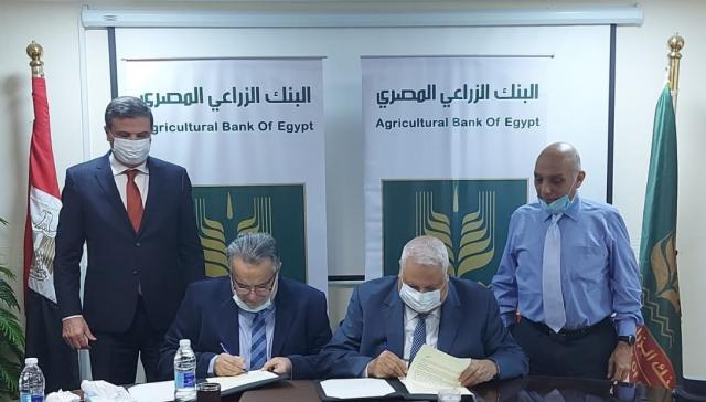 بلدنا نيوز الاقتصادي