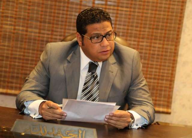 المهندس داكر عبداللاه نائب رئيس المجلس المصرى لحقوق الانسان