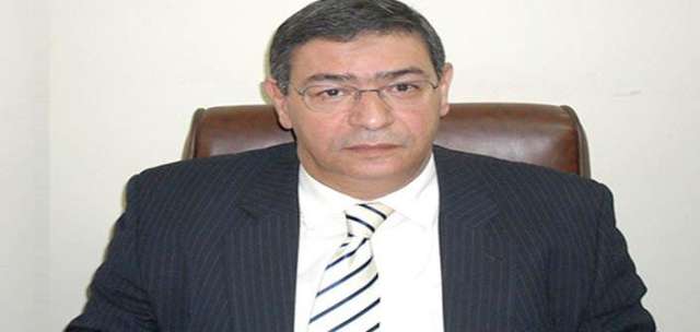 الدكتور خليل حسن خليل رئيس الشعبة العامة للاقتصاد الرقمى