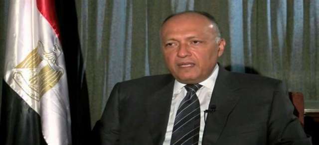 سامح شكرى وزير الخارجية