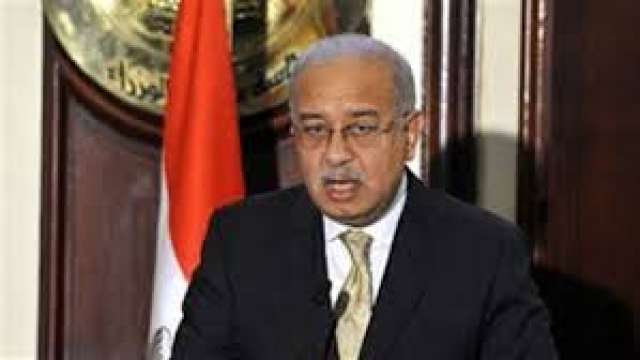 الاستثمار الداجنى
