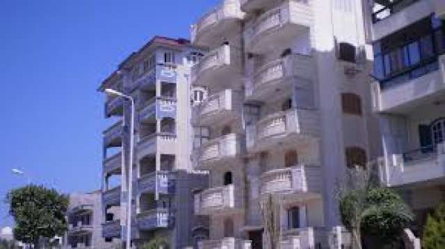دمياط الجديدة