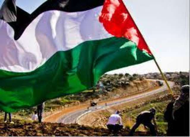 العلم الفلسطينى