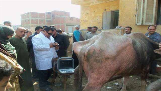 عيد الاضحى