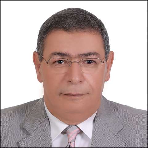المهندس خليل حسن خليل، رئيس مجلس إدارة الشعبة العامة للاقتصاد الرقمي والتكنولوجيا بالاتحاد العام للغرف التجارية 