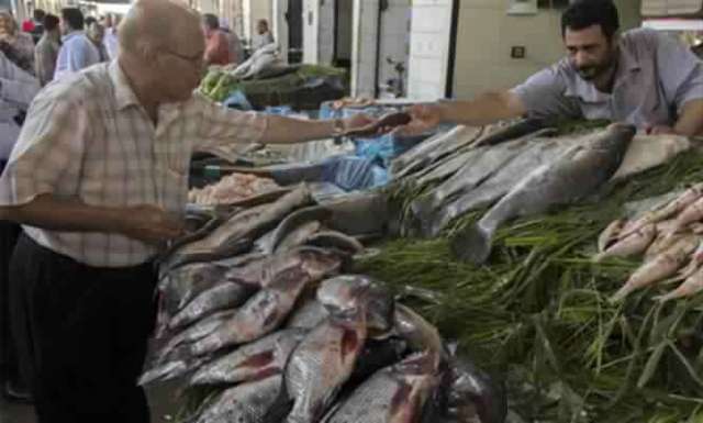 المصرية لتسويق الأسماك