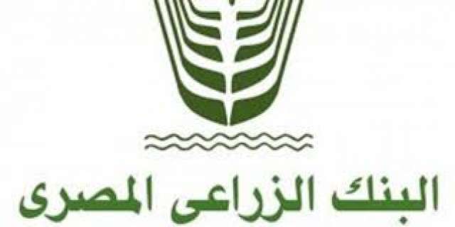 بلدنا نيوز الاقتصادي