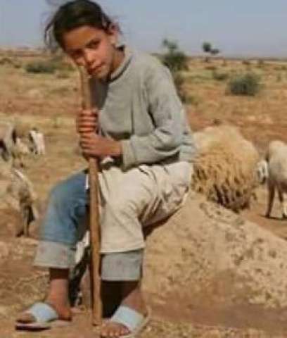 بلدنا نيوز الاقتصادي