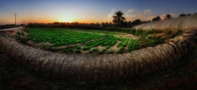 بلدنا نيوز الاقتصادي