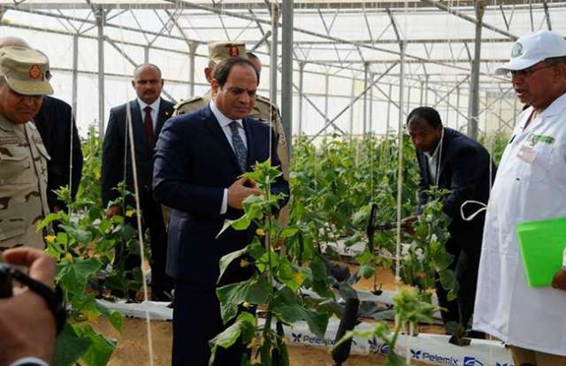 الرئيس عبد الفتاح السيسي رئيس الجمهورية خلال تفقده مشروع الصوب الزراعية 