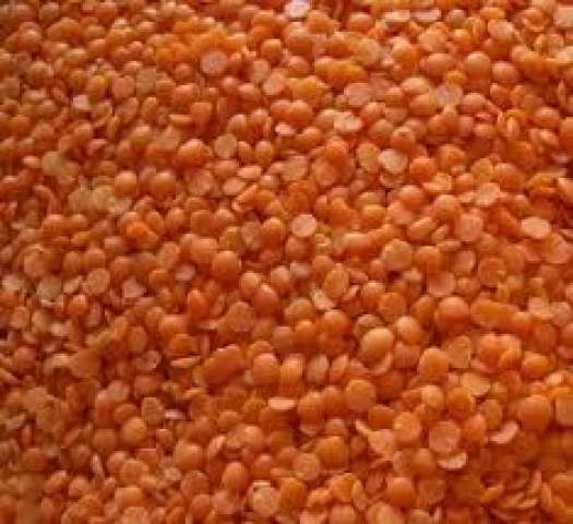 بلدنا نيوز الاقتصادي