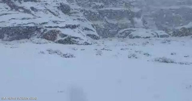 بلدنا نيوز الاقتصادي
