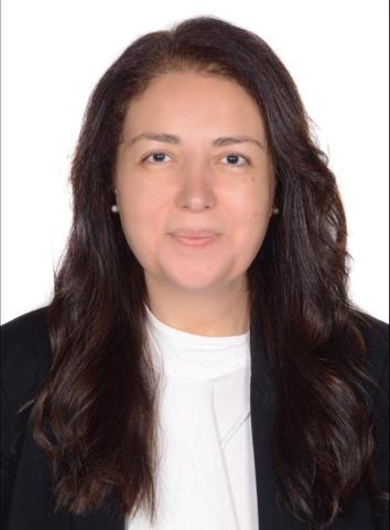 بلدنا نيوز الاقتصادي