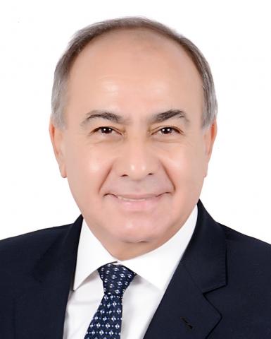 المهندس علاء فهمي