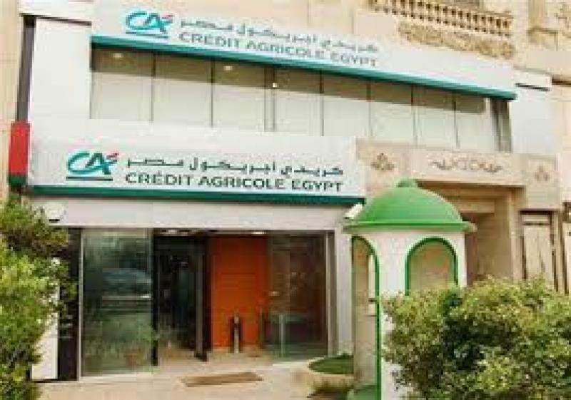 بلدنا نيوز الاقتصادي