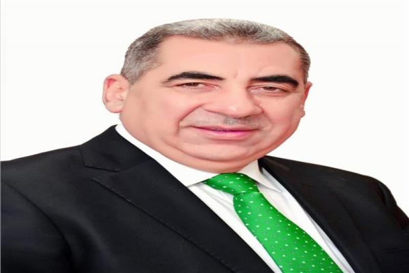الدكتور فايز الضباعني رئيس مصلحة الضرائب المصرية 