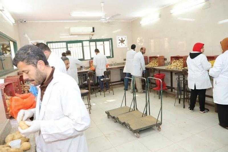 ”الزراعة” : فحص أكثر من 1.3 مليون طن بطاطس مائدة معدة للتصدير إلى الخارج منذ بداية الموسم وحتى الآن