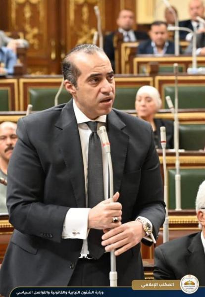 المستشار محمود فوزي، وزير الشئون النيابية والقانونية والتواصل السياسي