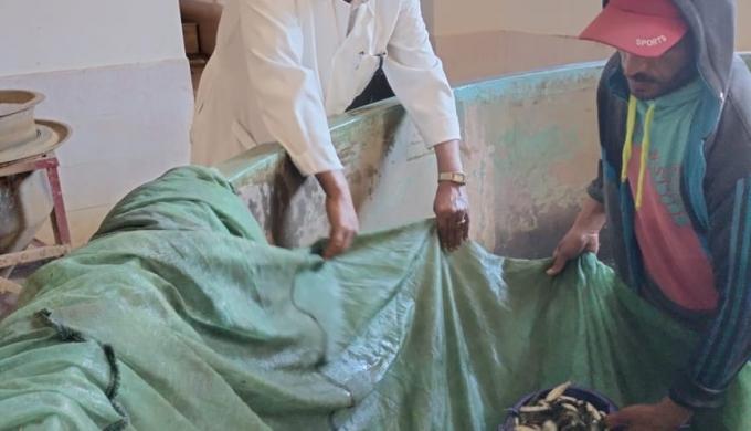 جهاز حماية وتنمية البحيرات والثروة السمكية يواصل تنفيذ خطة دعم وتنمية المخزون السمكي بالمصايد المصرية