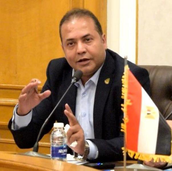 رئيس شعبة الاتصالات والخدمات المالية والمدفوعات الرقمية بالاتحاد العام للغرف التجارية