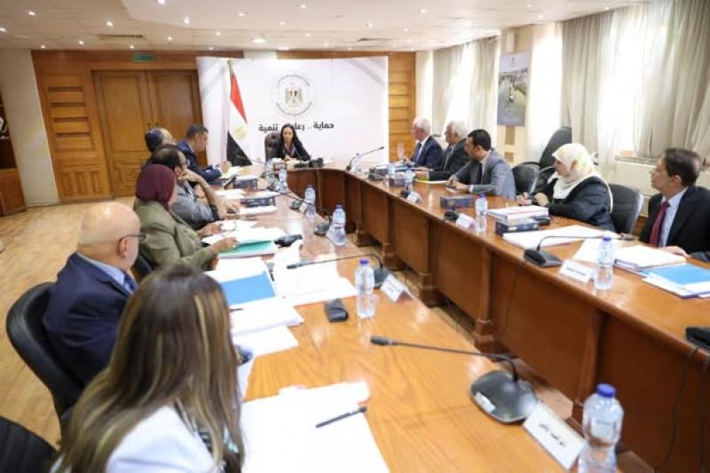 الدكتورة مايا وزيرة التضامن الأجتماعي تترأس اجتماع تنمية الأسرة