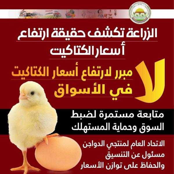 ”  الزراعة ” : ليس هناك مبرر لارتفاع أسعار الكتاكيت في الأسواق