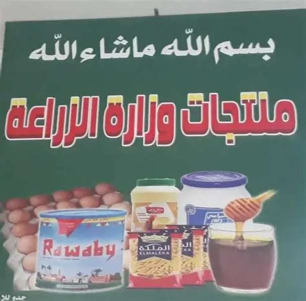 بلدنا نيوز الاقتصادي