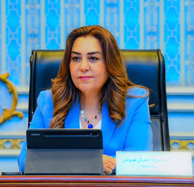 منال العوض,وزيرة التنمية المحلية