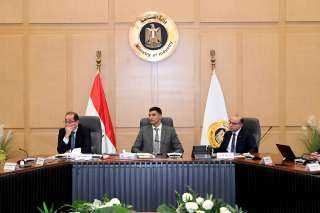 وزير المالية : حوافز استثمارية وضريبية وجمركية لتنمية صناعة السيارات ترتبط بالأداء الفعلي للمصنعين