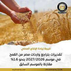 ” الزراعة الأمريكية ” : إنتاج القمح في مصر لموسم 2027/2026 بنحو 9.8 مليون طن