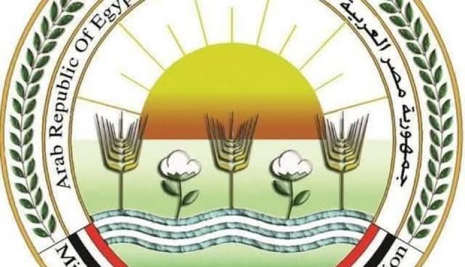 ▪︎”الزراعة” تطلق الحملة القومية الأولى لعام 2026 للتحصين ضد الجلد العقدي في الأبقار وجدري الأغنام لمدة شهر