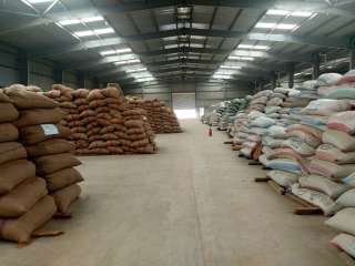 البنك الزراعي المصري يُنهي استعداداته لاستقبال موسم توريد القمح 2026