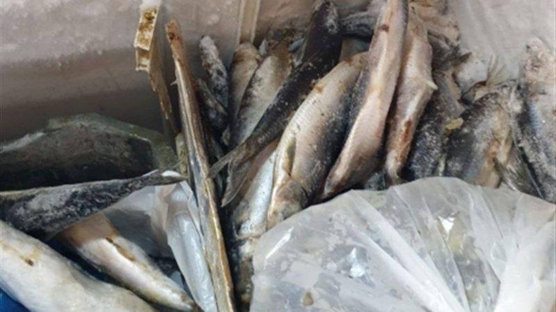 بلدنا نيوز الاقتصادي