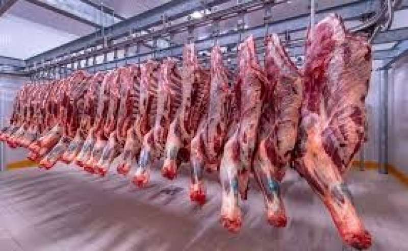 بلدنا نيوز الاقتصادي
