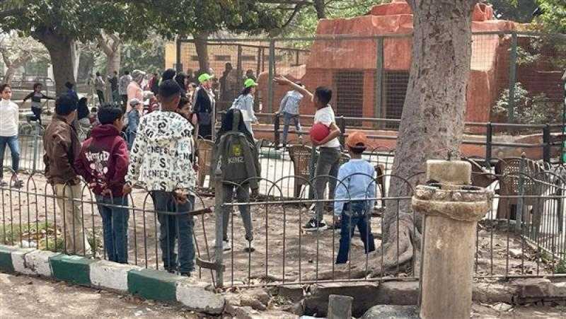 ”الزراعة” تعلن استقبال حدائق الحيوان الإقليمية وحديقة الأسماك أكثر من 101 ألف زائر خلال أيام عيد الأضحى المبارك