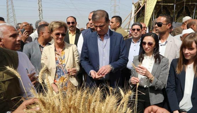 الزراعة : الدولة المصرية تبنت مسارًا إصلاحيًا متكاملاً يوازن بين التوسع الأفقي العملاق والتوسع الرأسي