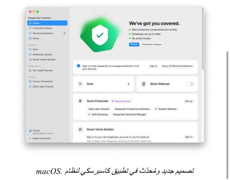 ” كاسبرسكى ” : أكثر من نصف مستخدمي الإنترنت في مصر واجهوا عمليات احتيال