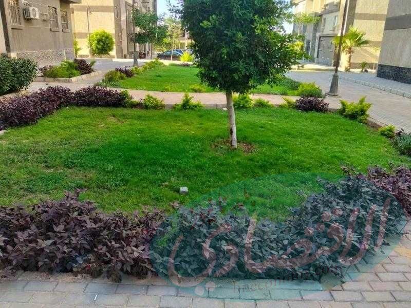 وزيرة الإسكان تتابع سير العمل بعدد من القطاعات الخدمية والتنموية بمدينة حدائق أكتوبر