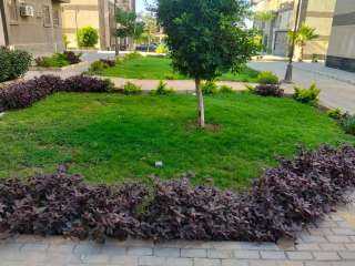 وزيرة الإسكان تتابع سير العمل بعدد من القطاعات الخدمية والتنموية بمدينة حدائق أكتوبر