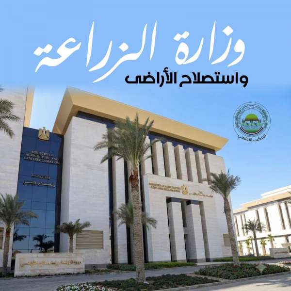 بلدنا نيوز الاقتصادي