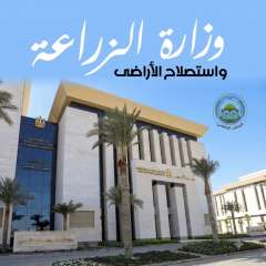 ”الزراعة” تضبط 880 عبوة مبيدات غير صالحة ببني سويف والفيوم وتحيل الواقعة للنيابة