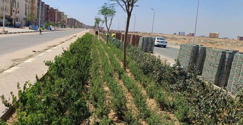 بلدنا نيوز الاقتصادي