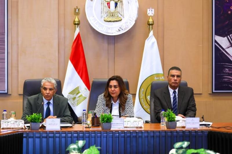 عقدت الدكتورة منال عوض وزيرة التنمية المحلية والبيئة، اجتماعاً مع اللواء الدكتور إسماعيل كمال محافظ جنوب سيناء