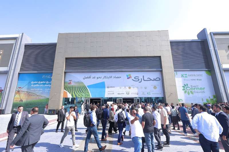 بلدنا نيوز الاقتصادي
