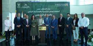 ”لوتس” تُبرم عقدًا بـ 16.6 مليون جنيه لإنشاء 5 محطات طاقة شمسية بالوادي الجديد